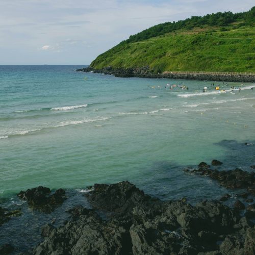 済州島モデルコースBEST 5ㅣ挟才海水浴場、オソルロック・ティー・ミュージアム、スヌーピーガーデン