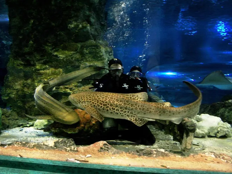タモン湾ホテルおすすめ