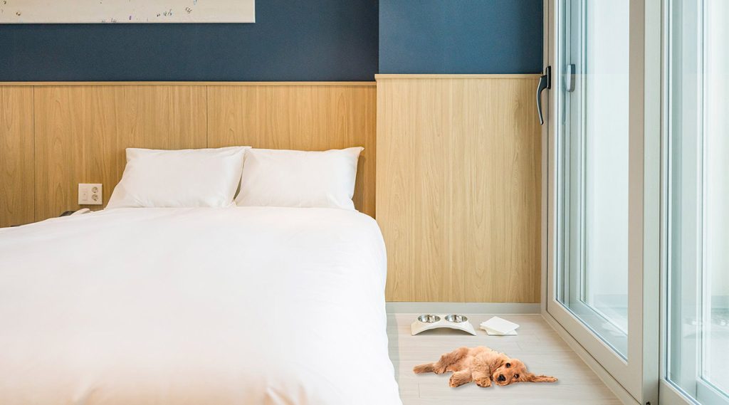 ソクチョ マリ ビスタ ホテル