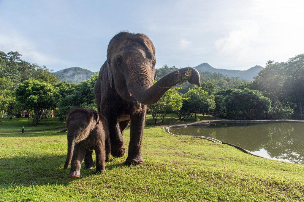 チェンマイ観光スポット