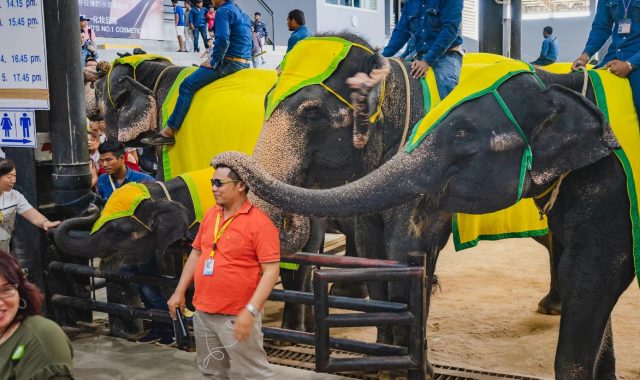 デュシタニ パタヤ