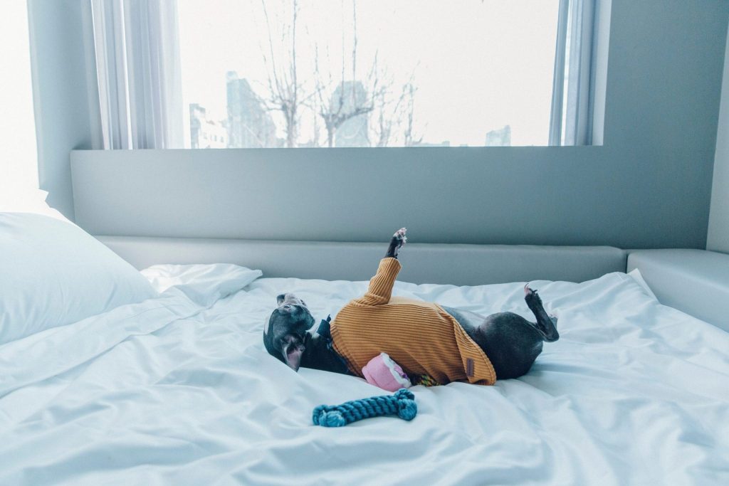 ソウルのコスパホテル