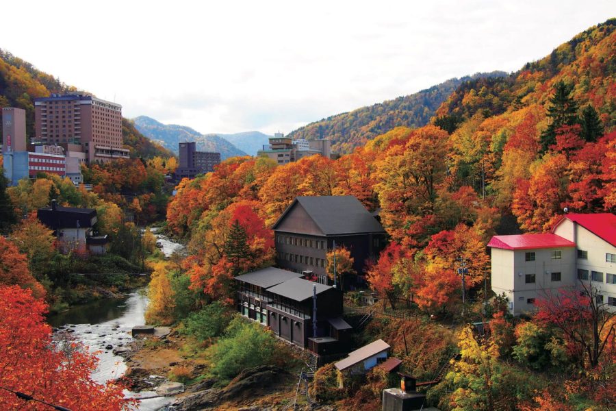 札幌観光おすすめBEST 5ㅣ青い池、小樽運河、絶景とグルメを満喫