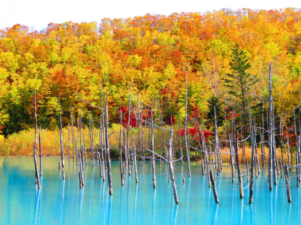 札幌観光おすすめ