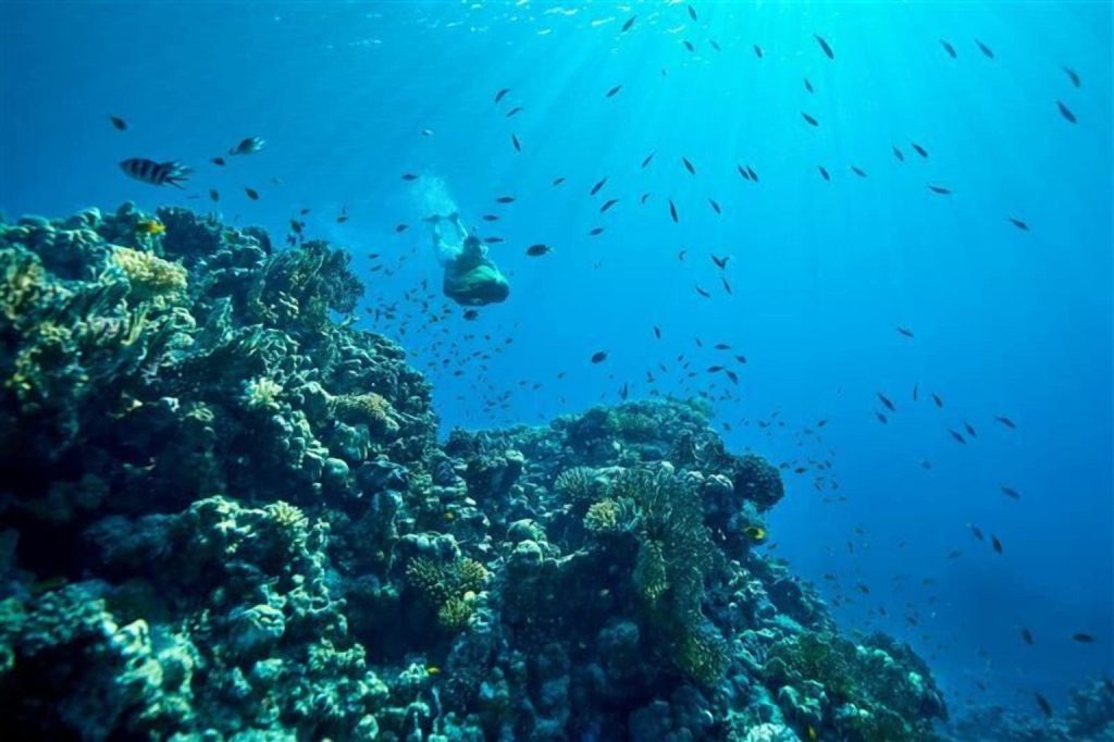 シェバラ リゾート, 紅海ホテルおすすめ