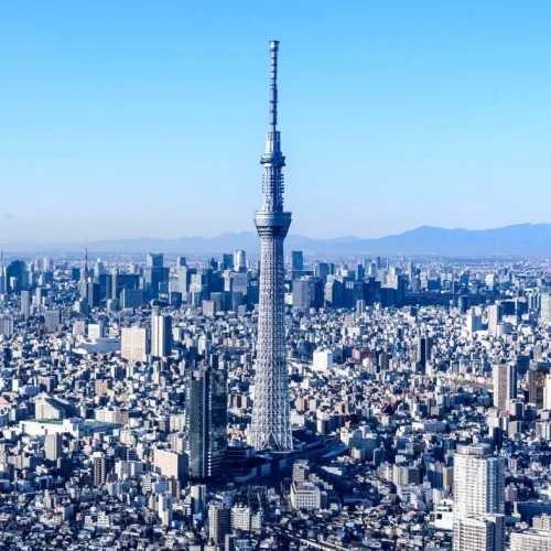 東京家族旅行 BEST 5ㅣディズニーランド、スカイツリーなど人気スポットで楽しむおすすめプラン