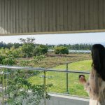 済州島_ヤクマウル