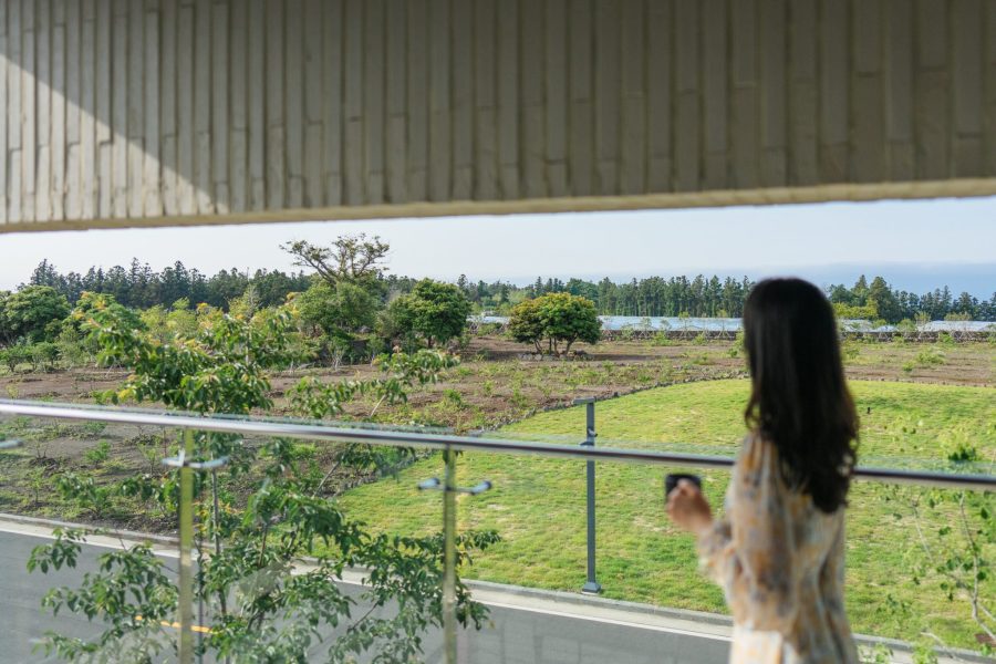 韓国・済州島ㅣヤクマウル、４人家族にぴったりな済州島の一棟貸し宿