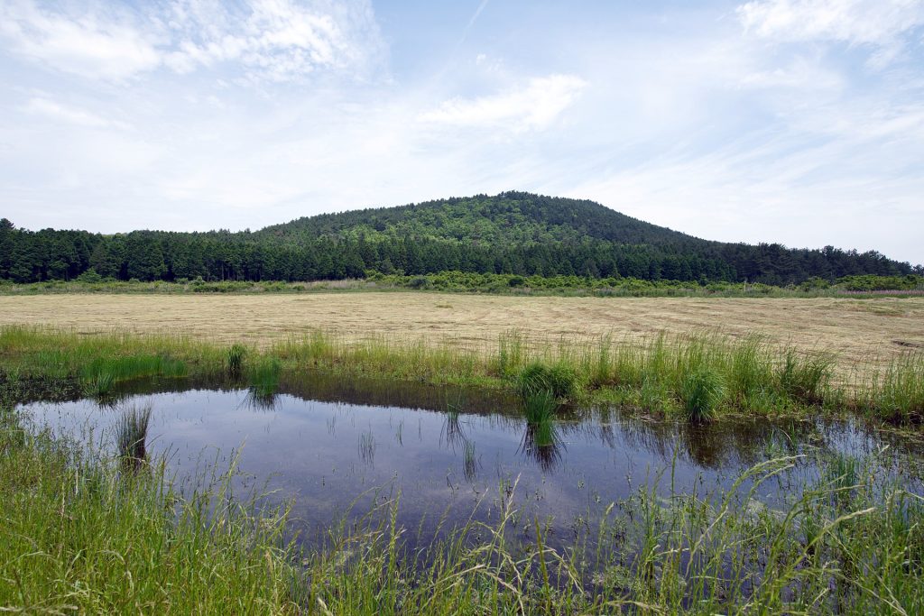 済州島_ヤクマウル
