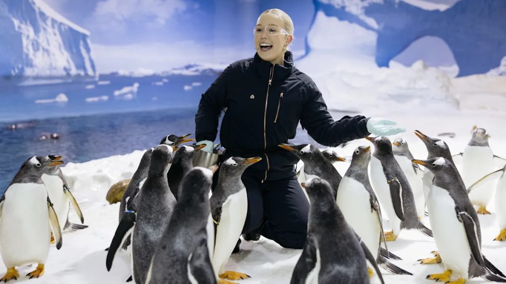 ゴールドコーストホテルおすすめ