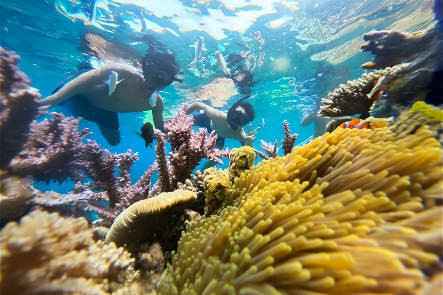 ウェスティン リゾート & スパ カム ラン