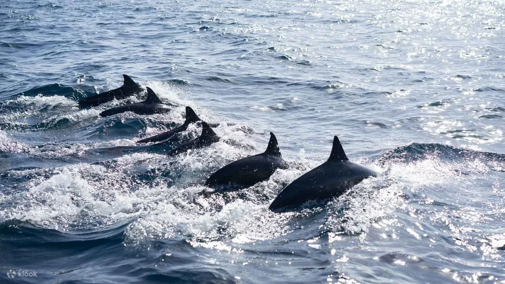 フィリピン旅行先おすすめ