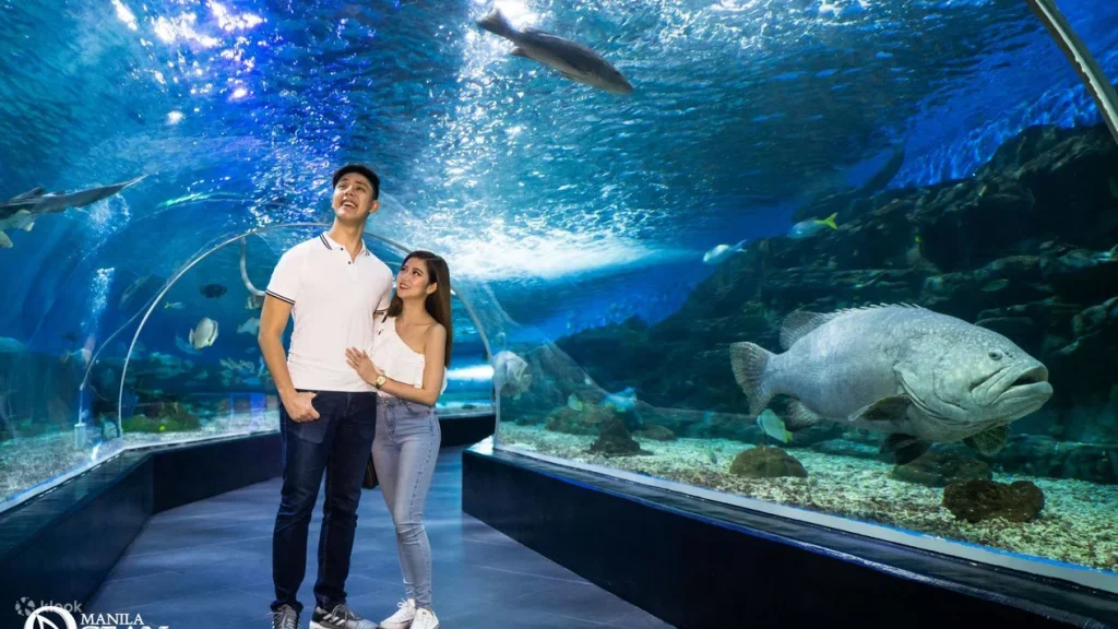 フィリピン旅行先おすすめ