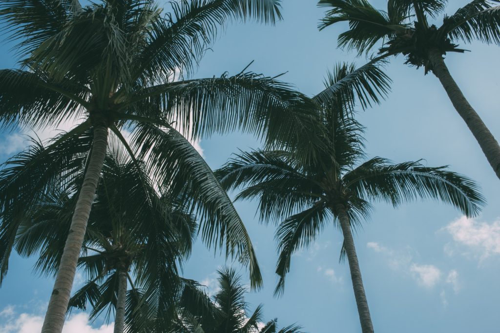 フィリピン旅行先おすすめ