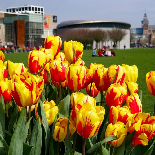 オランダ・アムステルダムㅣアムステルダムのホテル5選、徒歩での観光に便利な5つ星・4つ星おすすめホテル