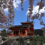 京都駅近おすすめホテル