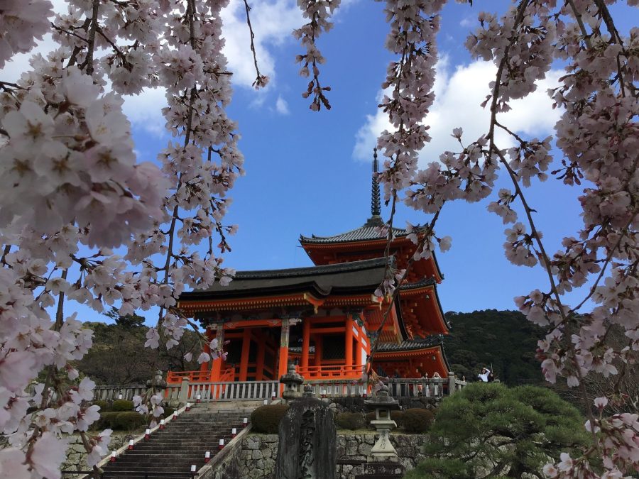 日本・京都ㅣ女性一人でも安心・快適!京都駅近おすすめホテル Pick 5