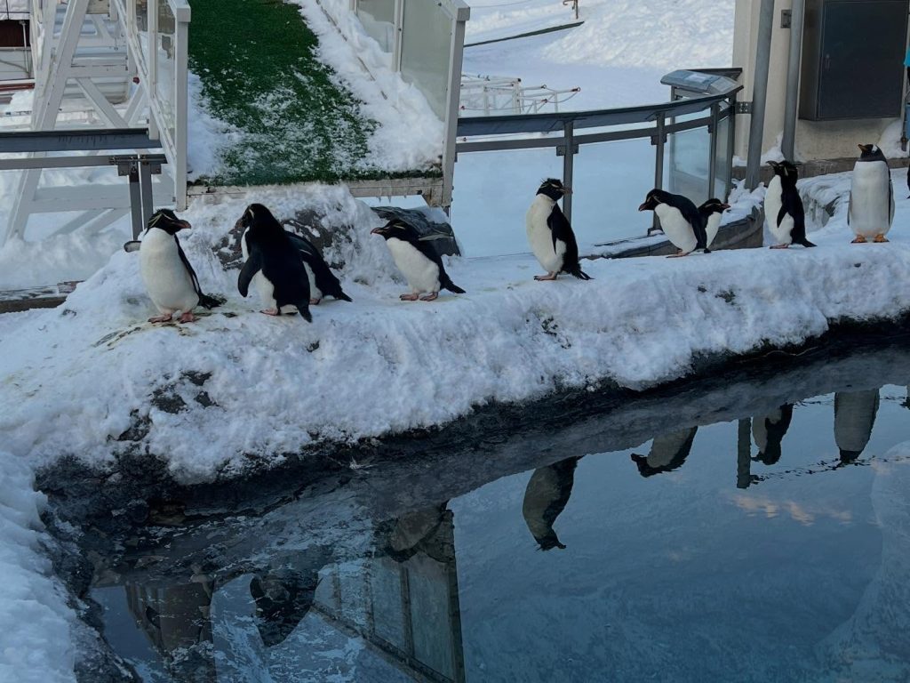 旭川おすすめホテル