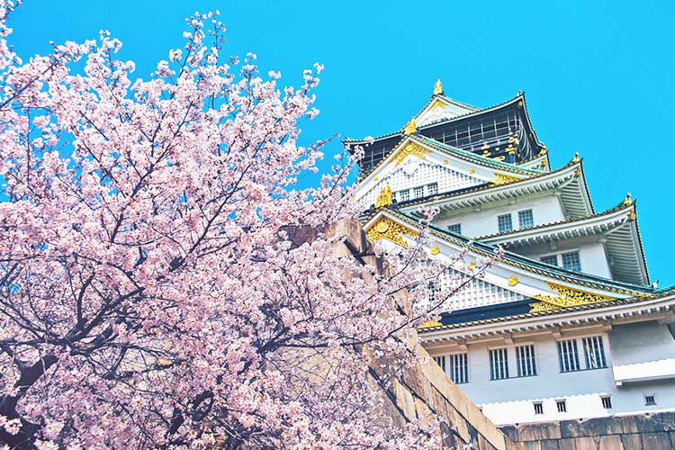 大阪_大阪難波駅周辺のホテル
