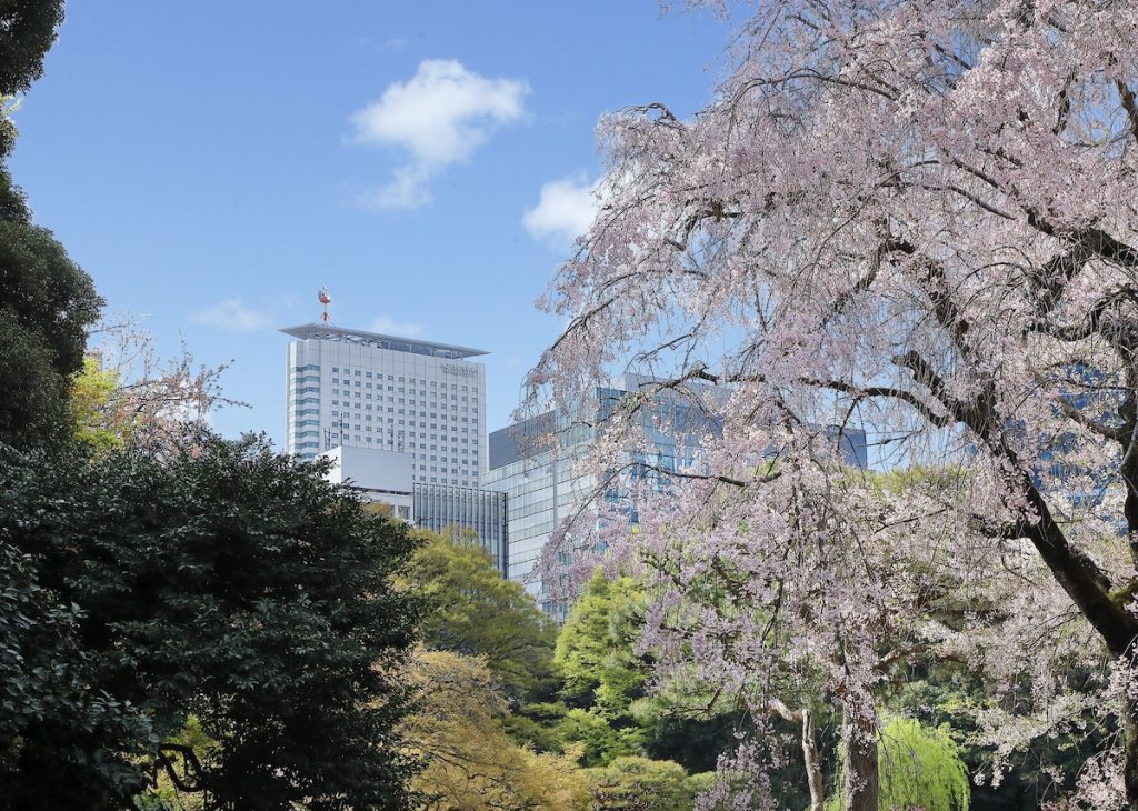 新宿_新宿のホテル_桜