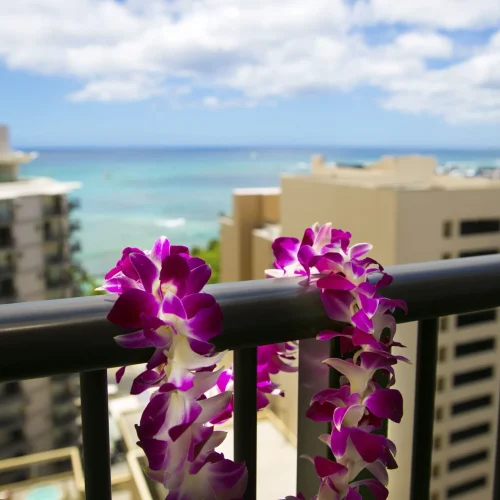 ハワイ・ホノルルㅣ6月の旅行におすすめ！ワイキキ近くホテルコスパ厳選 Pick 5